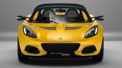 lotus2Belise