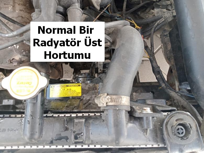 Normal Bir Radyatör Hortumu